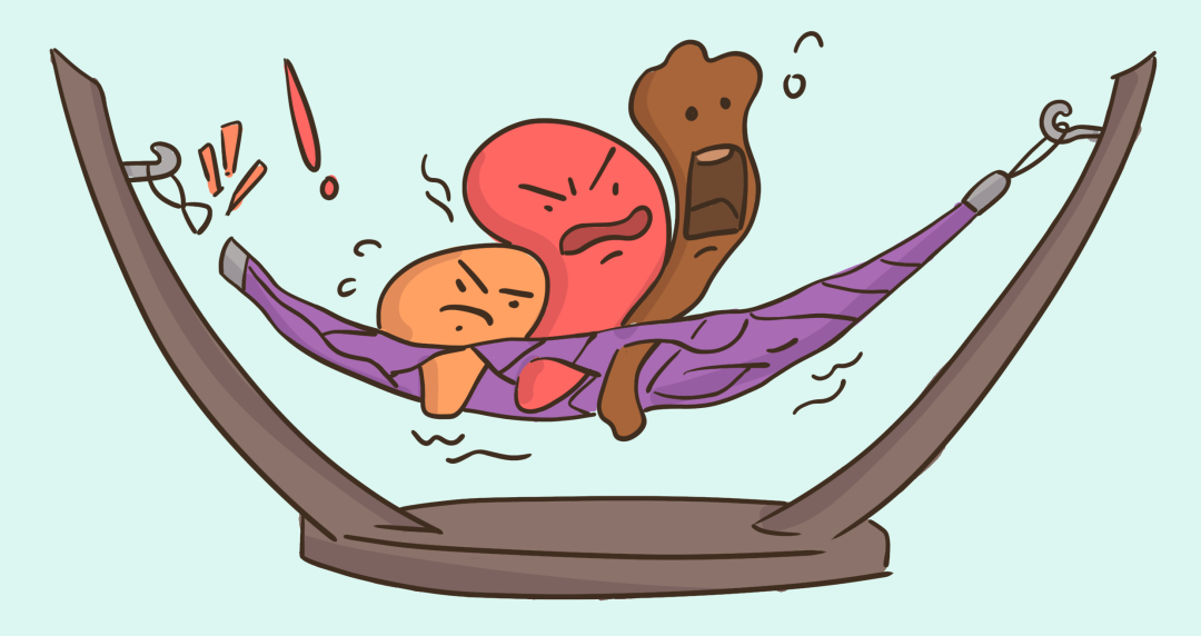 盆腔脏器脱垂1.png