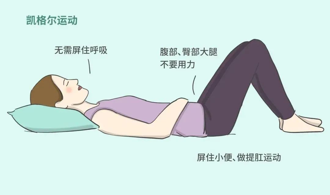 盆腔脏器脱垂9.jpg