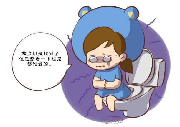 盆底康复2.png