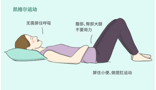 企业微信截图_20240510114558.png